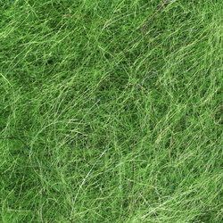 Spirit River UV2 Seal X Ice Dubbing