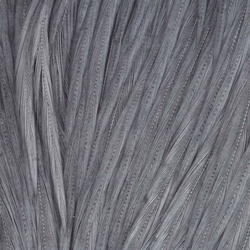 Wapsi Dry Fly Neck Hackle