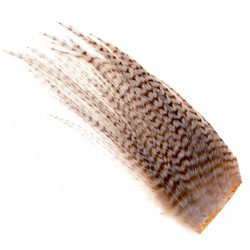 Боядисана част от шиен кейп от петел Ewing Sweet Spot