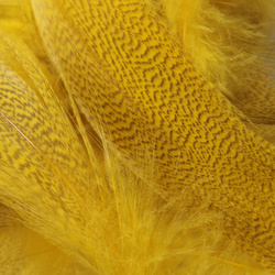 Hareline Mallard Flank