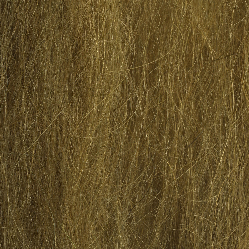 Golden Olive