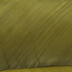 Hareline Turkey Biot Quills