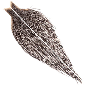 Whiting Bronze コック・ネックケープ(1/2)