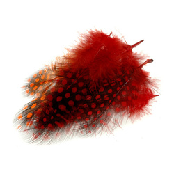 FFGene peresa pegatke