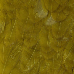 Wapsi Hen Saddle Patches