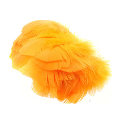 Wapsi platte kalkoenveren
