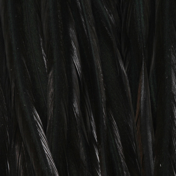 Whiting Dry Fly Saddle