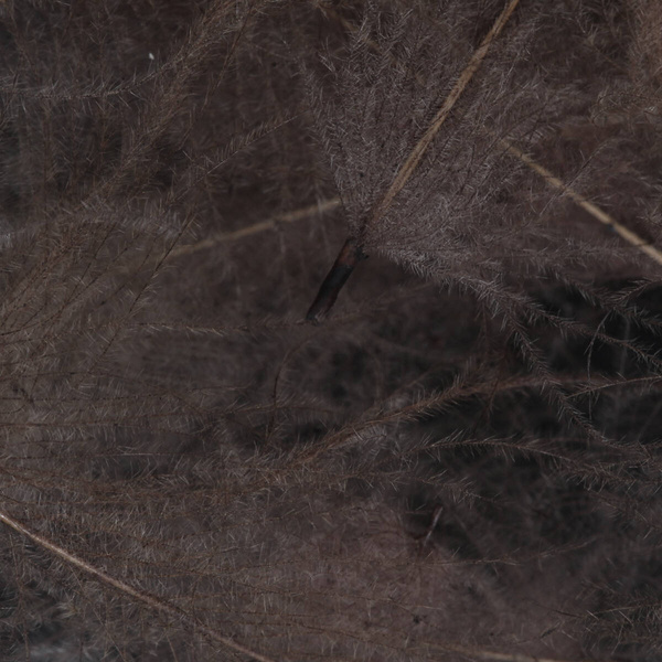 FFGene CDC Color Jambo Pack - 1 gr