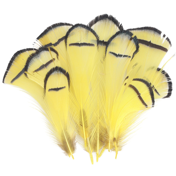 FFGene Lady Amherst Tippets