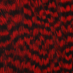 Ewing Grizzly Whole Capes