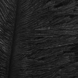 Wapsi Ostrich Marabou