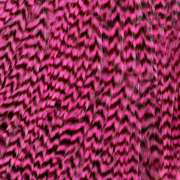 Ewing Grizzly Half Saddles