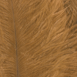 Wapsi Ostrich Marabou