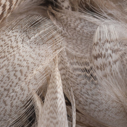 Spirit River UV2 Mallard