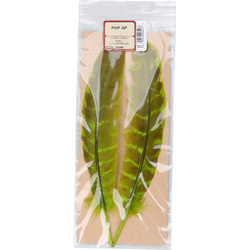 Wapsi Ozark Turkey Quill