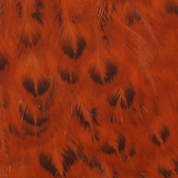 Wapsi Soft Hackle Hen Saddle Patch