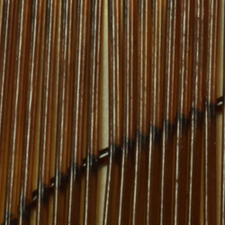 Sybai Glass Rib