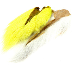 Wapsi jelení ocas se srstí, střední velikost