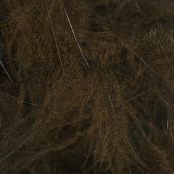 Wapsi CDC. Cul-De-Canard