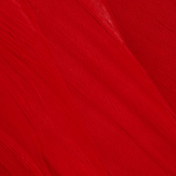 Wapsi Goose Shoulders