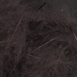 Wapsi CDC. Cul-De-Canard