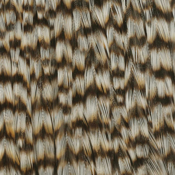 Ewing Sweet Spot Dyed