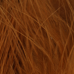 FFGene XXL pera marabu (Blood Quill) (++15 cm cm)