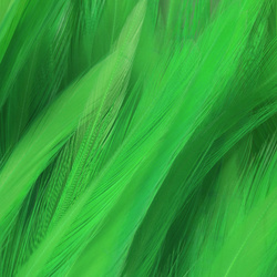 FFGene Strung Saddles Hackle