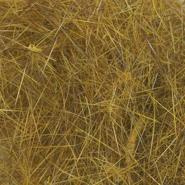FFGene Nutria Dubbing