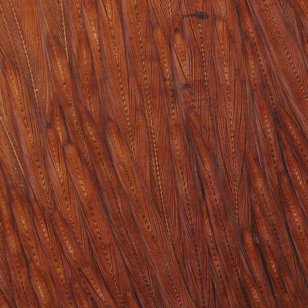 Wapsi Dry Fly Neck Select Sections Butt