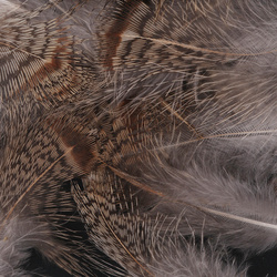 FFGene Hungarian Partridge Feathers 1 gram