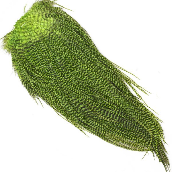 Keough Hackle Grizzly Saddle