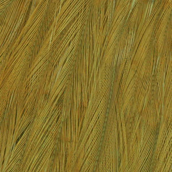 Wapsi Chinese Streamer Rooster Neck