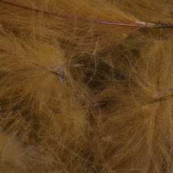 FFGene CDC Color Jambo Pack - 1 gr