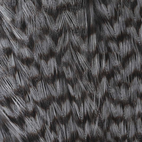 Ewing Grizzly Whole Capes