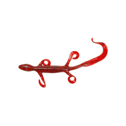 15.2 cm Zoom SS+ Lizard (9)