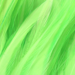 FFGene Strung Saddles Hackle