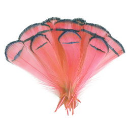 FFGene Pene tippet de fazan diamant