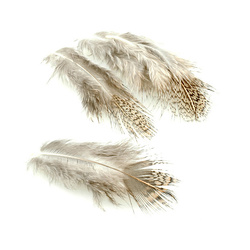 one size