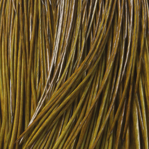 Whiting Bronze kukonniska