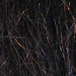 H2O Brush N Wing Fibre