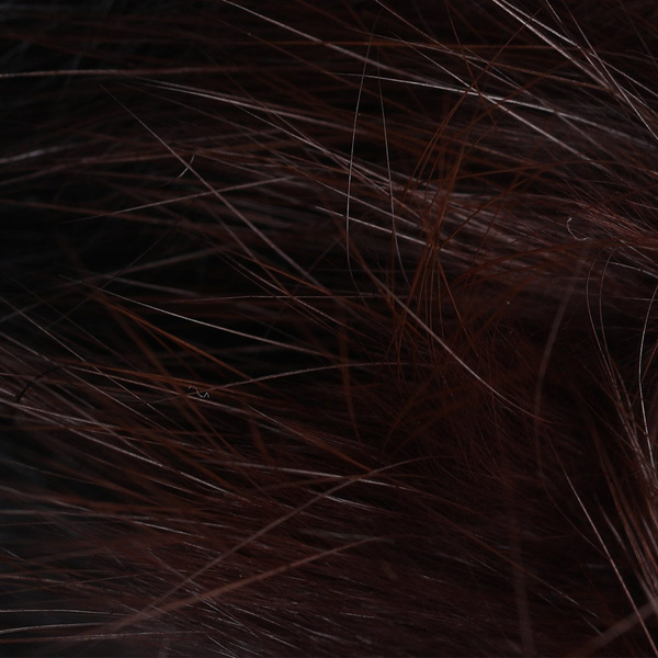 Spirit River UV2 Dos Tone Rabbit