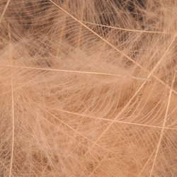 Wapsi pírka CDC (Cul-de-Canard)