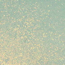 Hareline Medium Crystal Skin