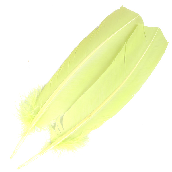 FFGene Turkey Wing Quill