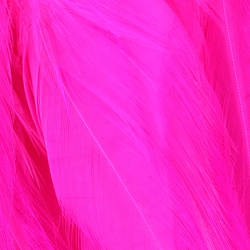 Hareline Strung Chinese 5-7 Saddle