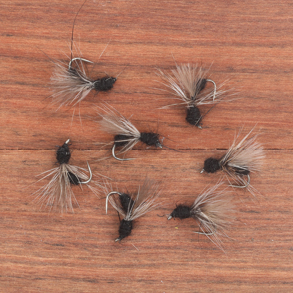 CDC Fying Black Ant