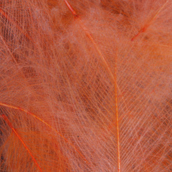 FFGene CDC Color Jambo Pack - 1 gr