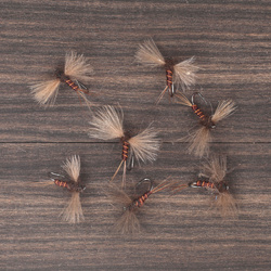 Brown Spinner