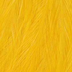 Wapsi Chinese Streamer Rooster Neck